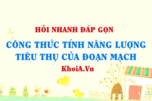 Công thức tính năng lượng tiêu thụ của một đoạn mạch lớp 11?